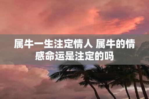 属牛一生注定情人 属牛的情感命运是注定的吗
