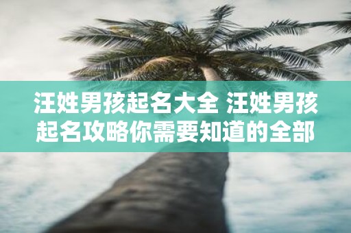 汪姓男孩起名大全 汪姓男孩起名攻略你需要知道的全部