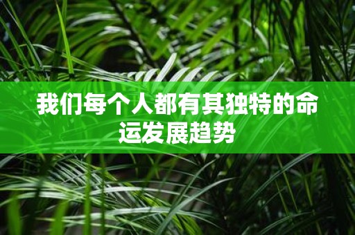 我们每个人都有其独特的命运发展趋势