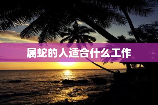属蛇的人适合什么工作