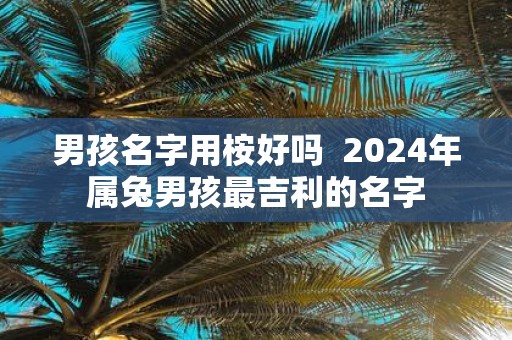 男孩名字用桉好吗 2025年属兔男孩最吉利的名字