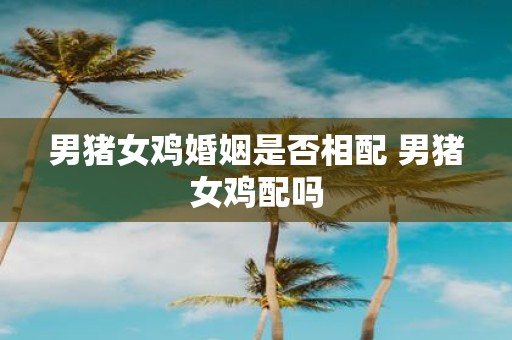 男猪女鸡婚姻是否相配 男猪女鸡配吗