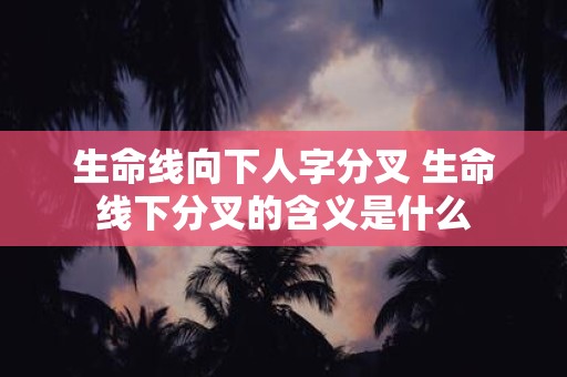 生命线向下人字分叉 生命线下分叉的含义是什么