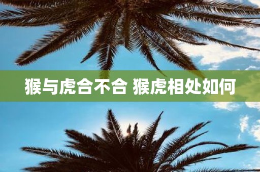 猴与虎合不合 猴虎相处如何