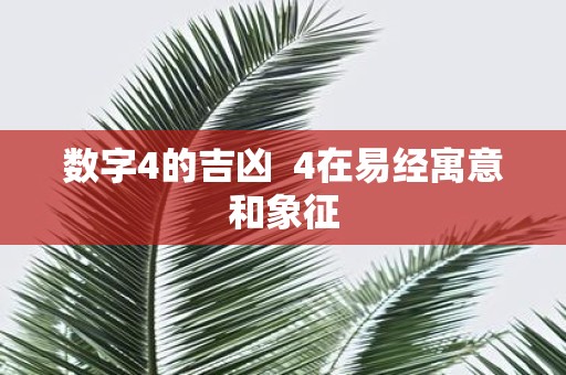 数字4的吉凶 4在易经寓意和象征