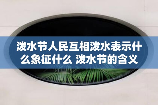泼水节人民互相泼水表示什么象征什么 泼水节的含义！