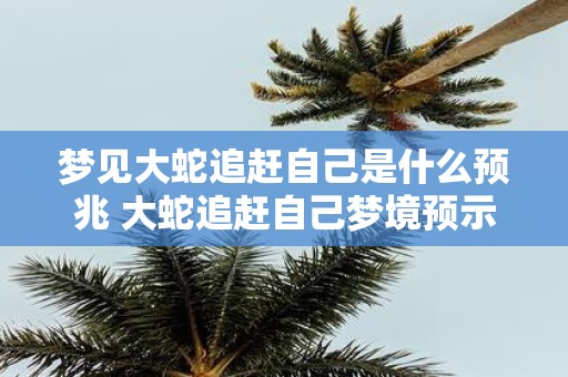 梦见大蛇追赶自己是什么预兆 大蛇追赶自己梦境预示什么