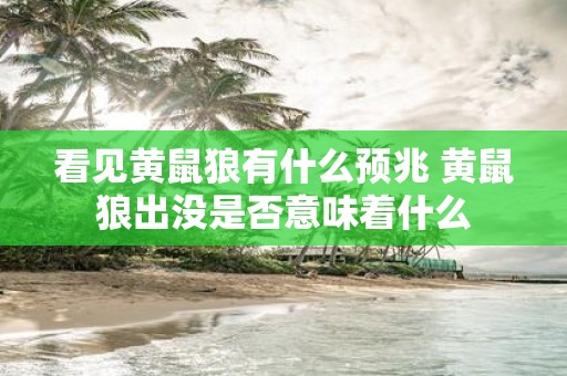 看见黄鼠狼有什么预兆 黄鼠狼出没是否意味着什么