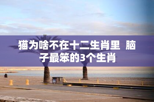猫为啥不在十二生肖里 脑子最笨的3个生肖