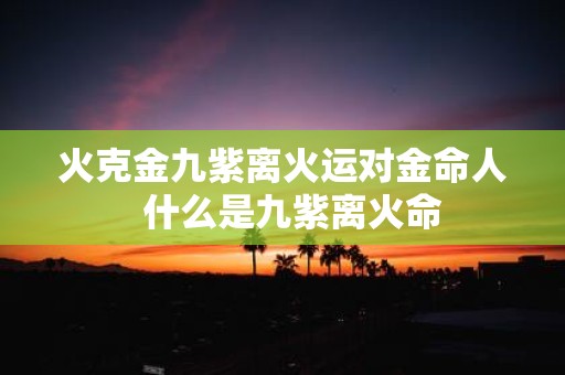 火克金九紫离火运对金命人 什么是九紫离火命