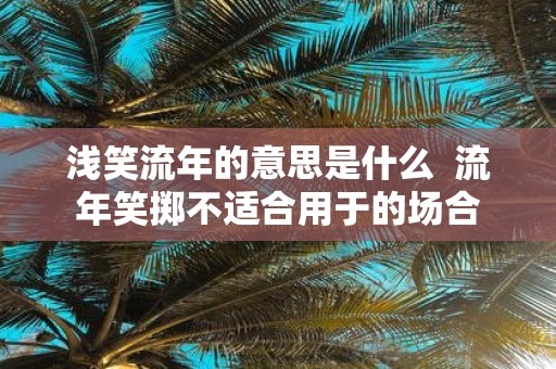 浅笑流年的意思是什么 流年笑掷不适合用于的场合
