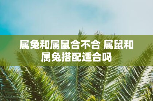 属兔和属鼠合不合 属鼠和属兔搭配适合吗