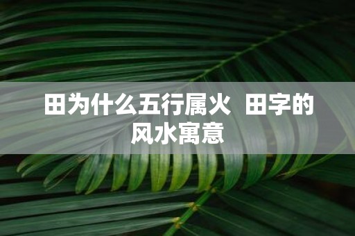 田为什么五行属火 田字的风水寓意