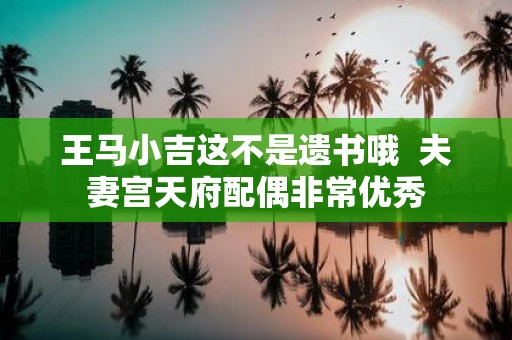王马小吉这不是遗书哦 夫妻宫天府配偶非常优秀