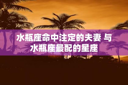 水瓶座命中注定的夫妻 与水瓶座最配的星座