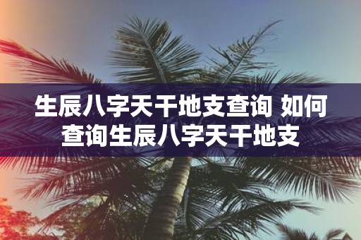 生辰八字天干地支查询 如何查询生辰八字天干地支