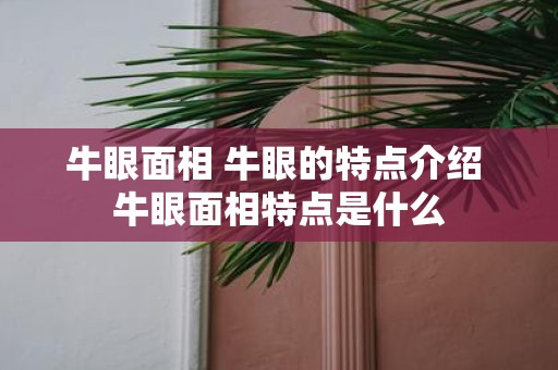 牛眼面相 牛眼的特点介绍 牛眼面相特点是什么
