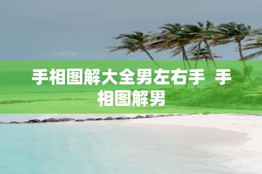 手相图解大全男左右手 手相图解男