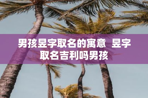 男孩昱字取名的寓意 昱字取名吉利吗男孩