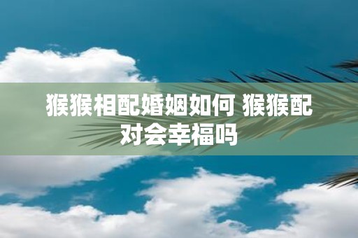 猴猴相配婚姻如何 猴猴配对会幸福吗