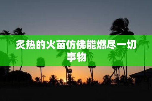 炙热的火苗仿佛能燃尽一切事物