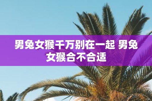 男兔女猴千万别在一起 男兔女猴合不合适