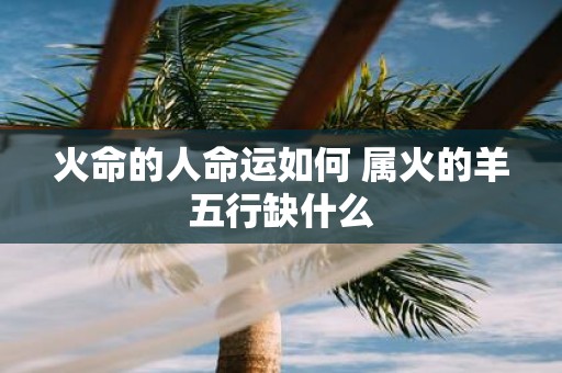 火命的人命运如何 属火的羊五行缺什么
