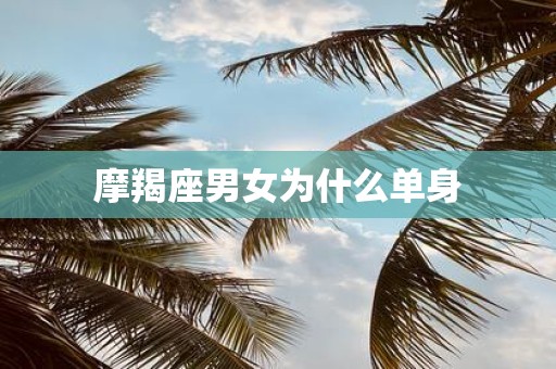 摩羯座男女为什么单身