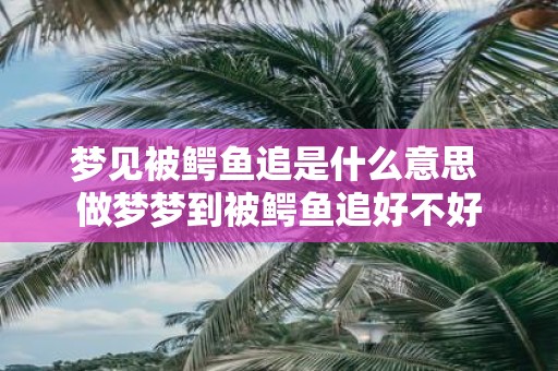梦见被鳄鱼追是什么意思 做梦梦到被鳄鱼追好不好