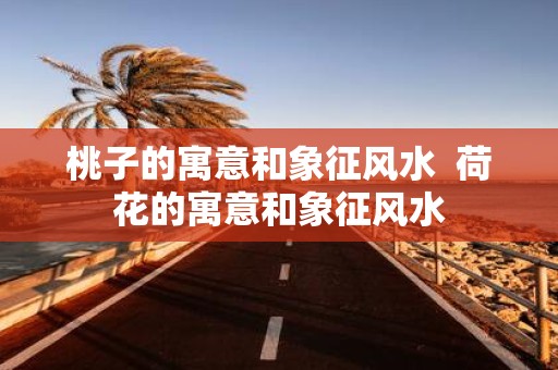 桃子的寓意和象征风水 荷花的寓意和象征风水