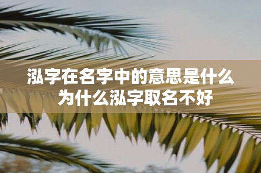 泓字在名字中的意思是什么 为什么泓字取名不好