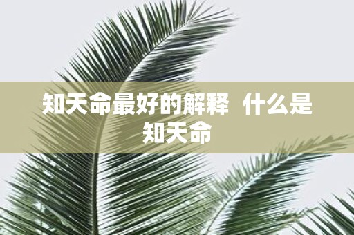 知天命最好的解释 什么是知天命