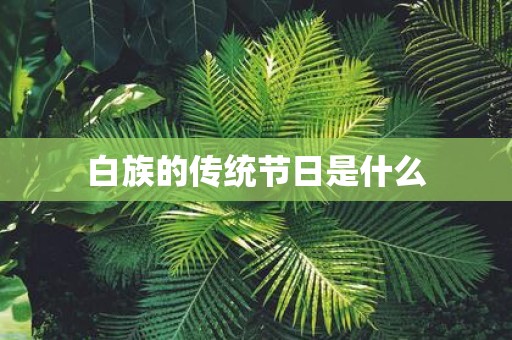白族的传统节日是什么