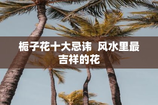 栀子花十大忌讳 风水里最吉祥的花