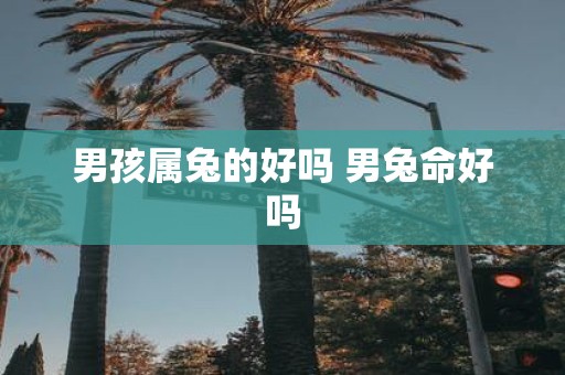 男孩属兔的好吗 男兔命好吗