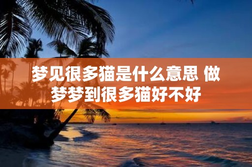 梦见很多猫是什么意思 做梦梦到很多猫好不好