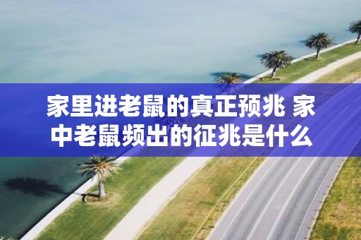 家里进老鼠的真正预兆 家中老鼠频出的征兆是什么