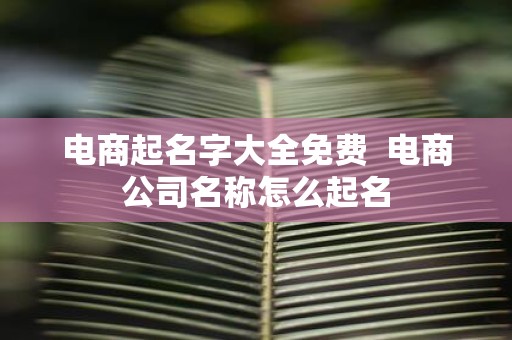 电商起名字大全免费 电商公司名称怎么起名