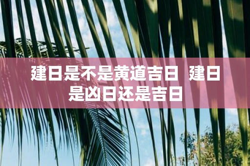 建日是不是黄道吉日 建日是凶日还是吉日