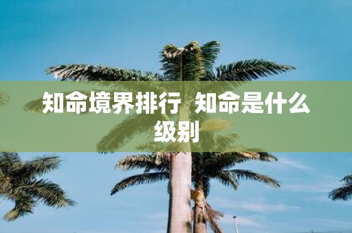 知命境界排行 知命是什么级别