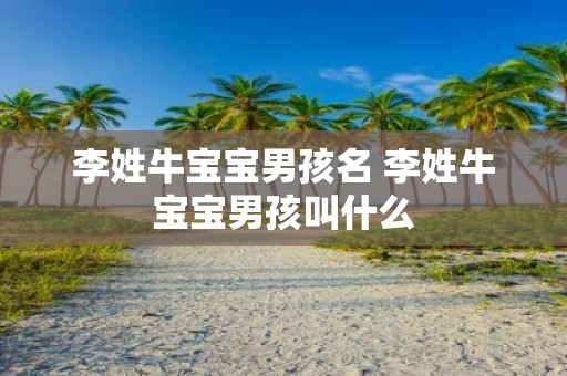 李姓牛宝宝男孩名 李姓牛宝宝男孩叫什么