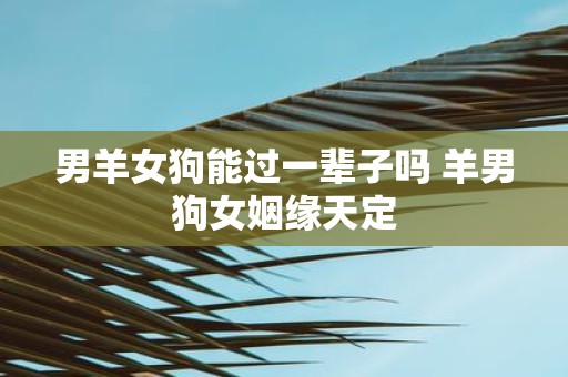 男羊女狗能过一辈子吗 羊男狗女姻缘天定