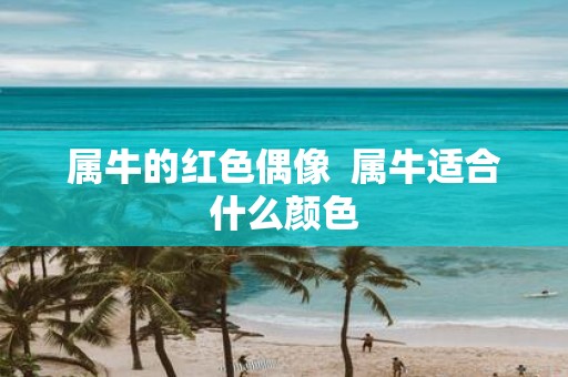 属牛的红色偶像 属牛适合什么颜色