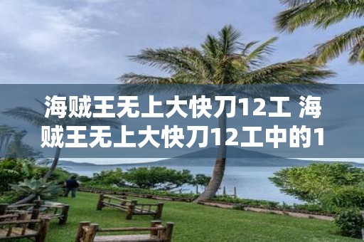 海贼王无上大快刀12工 海贼王无上大快刀12工中的12工