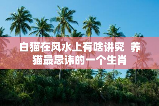 白猫在风水上有啥讲究 养猫最忌讳的一个生肖