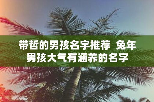 带哲的男孩名字推荐 蛇年男孩大气有涵养的名字