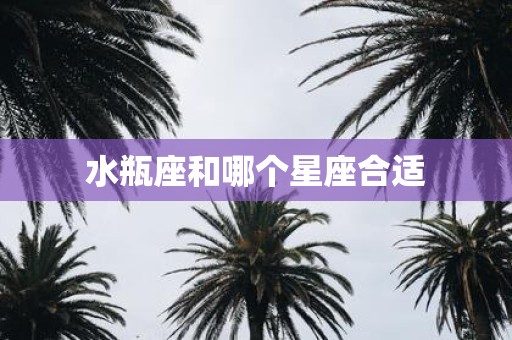 水瓶座和哪个星座合适