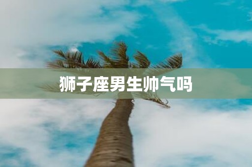 狮子座男生帅气吗