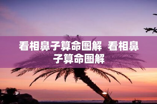 看相鼻子算命图解 看相鼻子算命图解