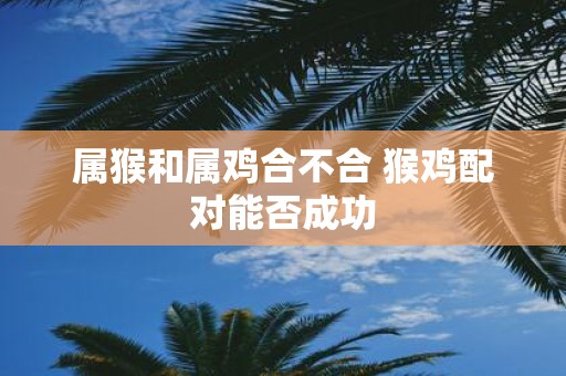 属猴和属鸡合不合 猴鸡配对能否成功